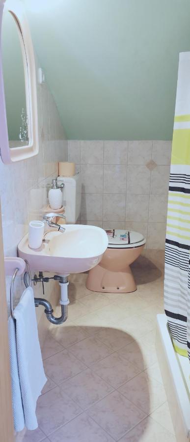 Apartman Jancic 梅杜林 外观 照片